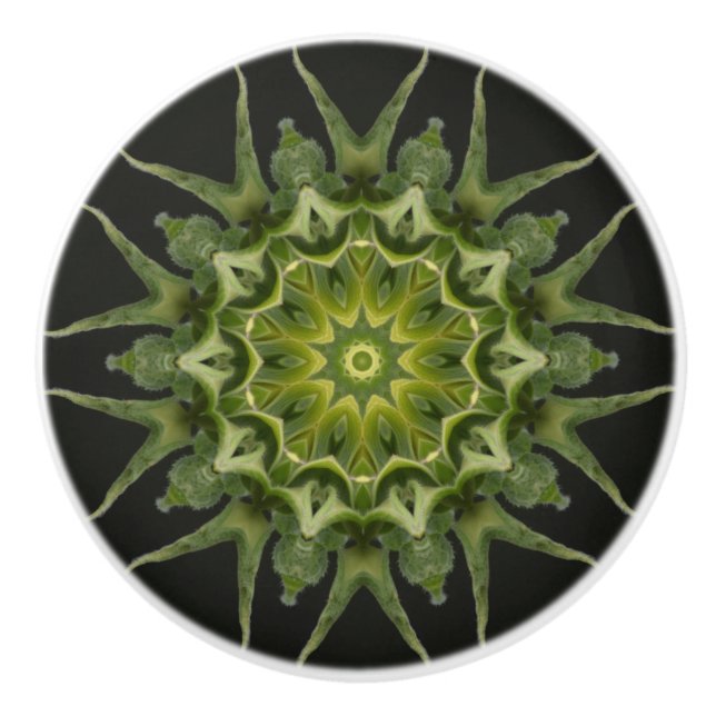 Kaleidoscope Solrosbud Knopp (Framsidan)