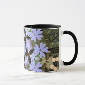 Kaleidoscopic Phlox Mugg