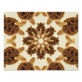 Kaleidoskopisk loggnossköldpadda fototryck