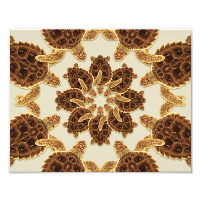 Kaleidoskopisk loggnossköldpadda fototryck (Framsidan)
