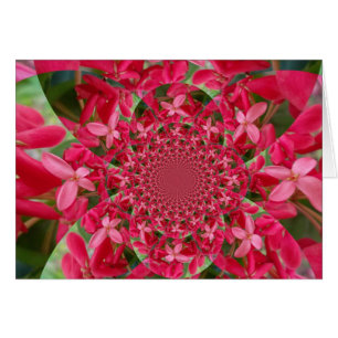 Kalejdoskop: Blood Milkweed Flower Art Hälsningskort