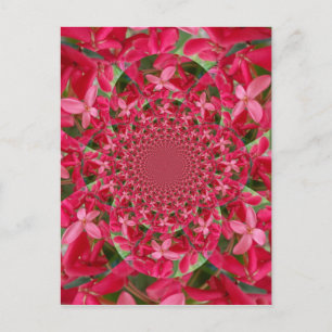 Kalejdoskop: Blood Milkweed Flower Art Vykort