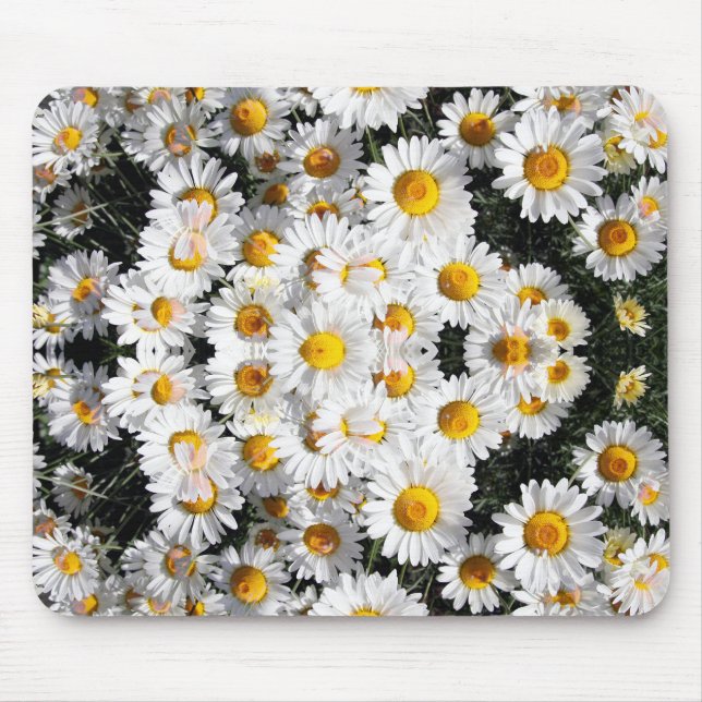 Kalejdoskop Daisies Mönster Musmatta (Framsidan)