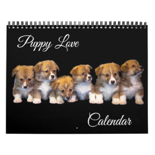 Kalendar för valpsjuka kalender