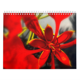 Kalendarblommor Kalender