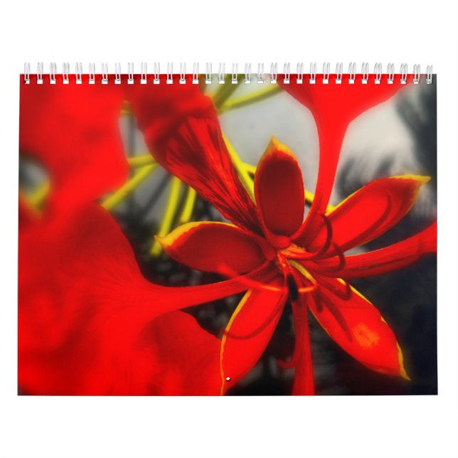 Kalendarblommor Kalender (Omslag)