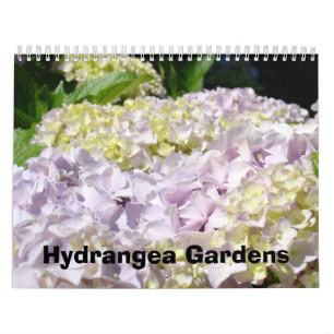 Kalendarer Fotografi Rosa Blå Hydrangea Trädgårdar Kalender