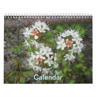Kalender