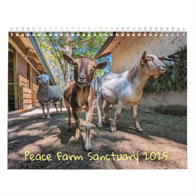 Kalender (Omslag)