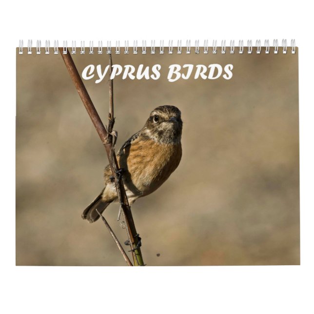 Kalender (Baksida)