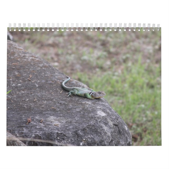 Kalender (Omslag)