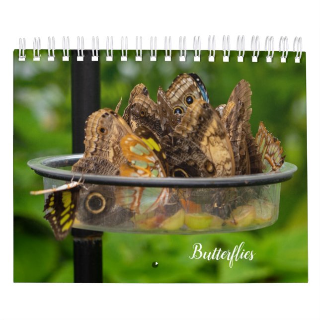 Kalender (Omslag)