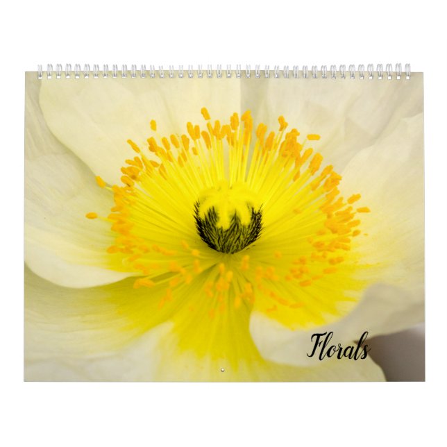 Kalender (Omslag)
