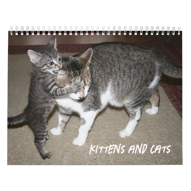 Kalender (Omslag)