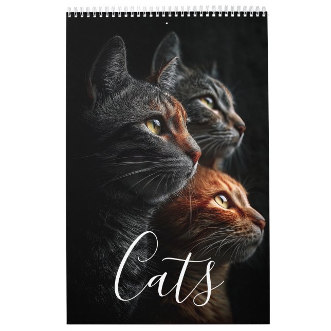 Kalender (Omslag)
