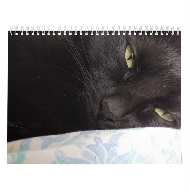 Kalender (Omslag)