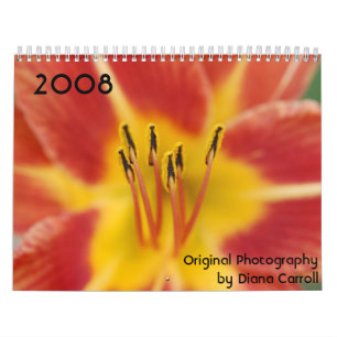 Kalender 2008 av Diana Carroll