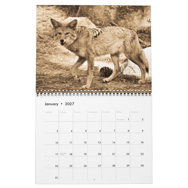 Kalender 2009 (Jan 2027)