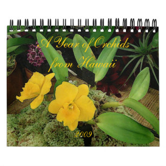 Kalender 2009: Ett år av Orchids från Hawaii