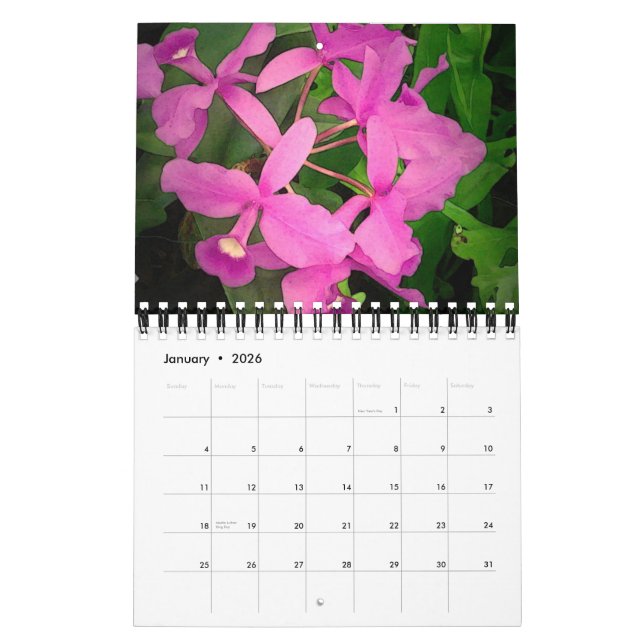 Kalender 2009: Ett år av Orchids från Hawaii (Jan 2026)