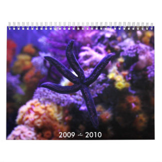 kalender 2009 för ~ 2010