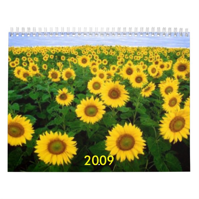 Kalender, 2009 kalender (Omslag)