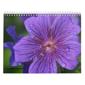 Kalender 2009 photgraphed av Stacey Morris