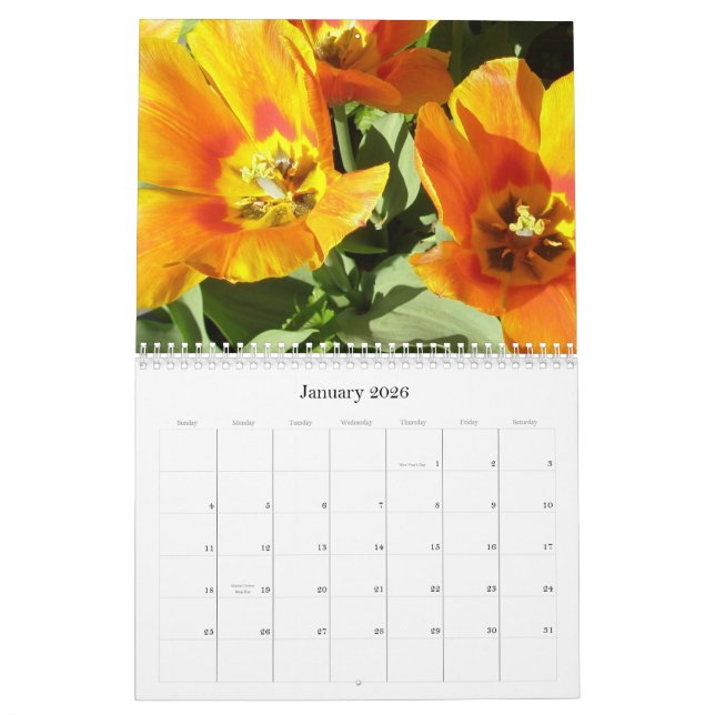 Kalender 2009 photgraphed av Stacey Morris (Jan 2026)