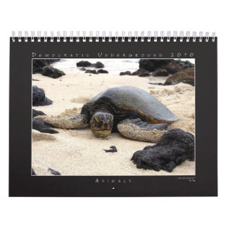 Kalender 2010 för DU-fotografigrupp