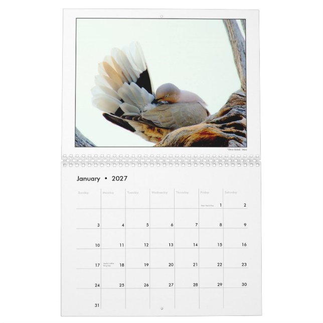 Kalender 2010 för DU-fotografigrupp (Jan 2027)