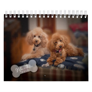 Kalender 2010 för leksakpudel