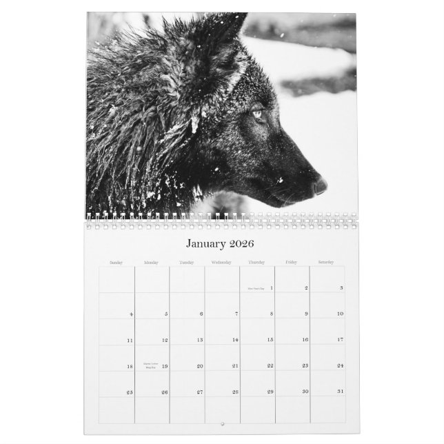 Kalender 2011 (Jan 2026)