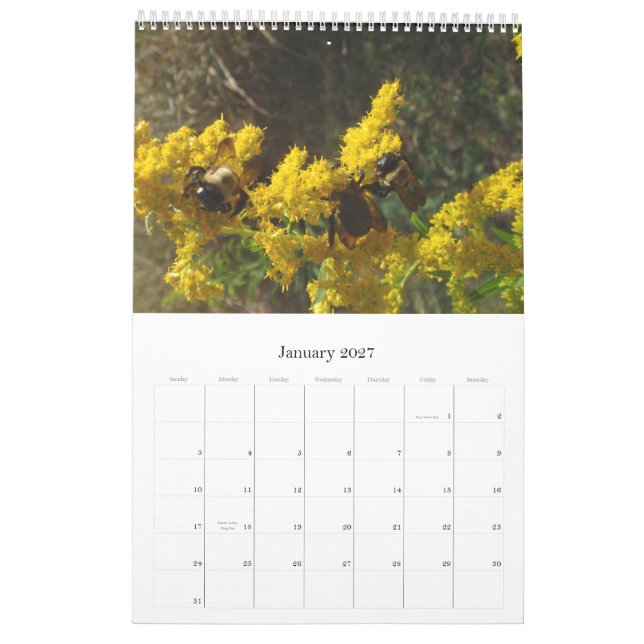 Kalender 2011 (Jan 2027)