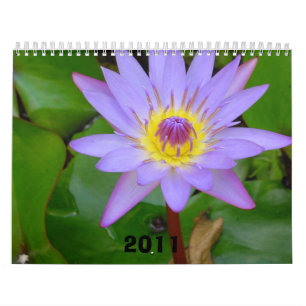Kalender 2011