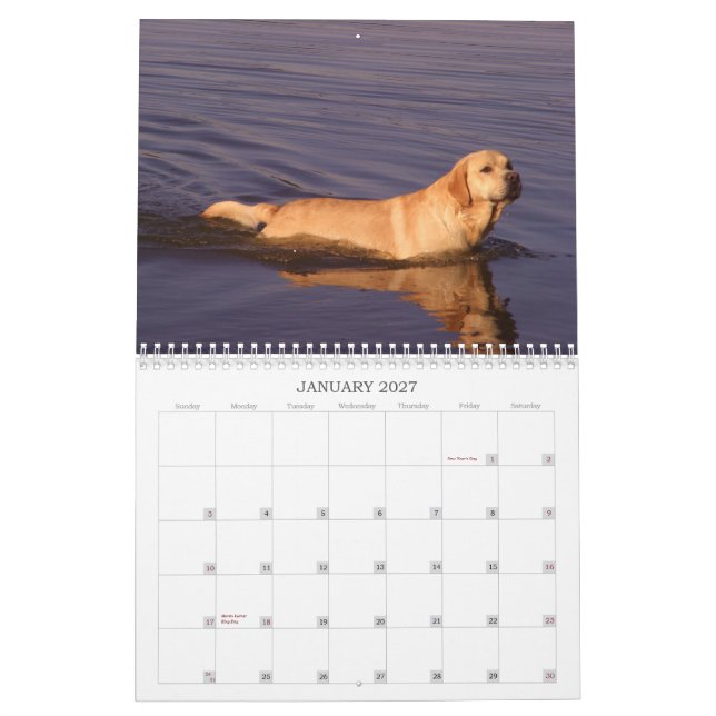 Kalender 2011 för Labrador Retriever (Jan 2027)