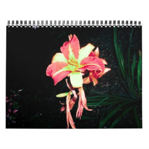 Kalender 2012