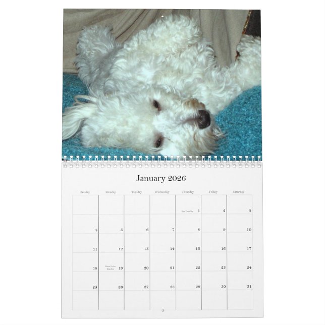 Kalender 2012 för Havanese valprädding (Jan 2026)