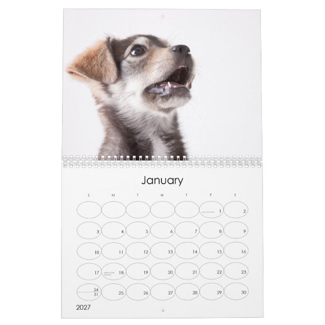 Kalender 2012 för skyddvalpvägg (Jan 2027)