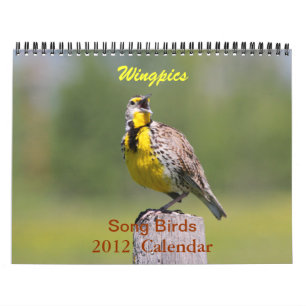 Kalender 2012 för Wingpics sångfåglar