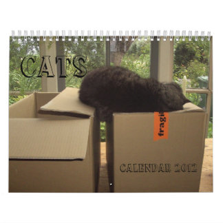 Kalender 2012 - Katter