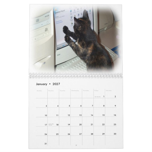 Kalender 2012 - Katter (Jan 2027)
