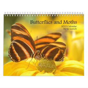 Kalender 2013 - fjärilar och malar
