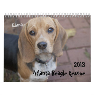 Kalender 2013 för Atlanta Beaglerädding