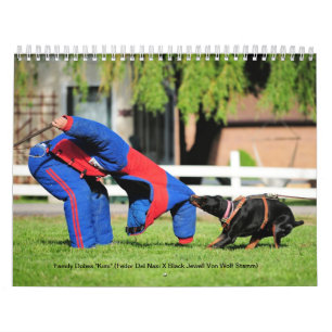 Kalender 2013 för familjDobes skydd