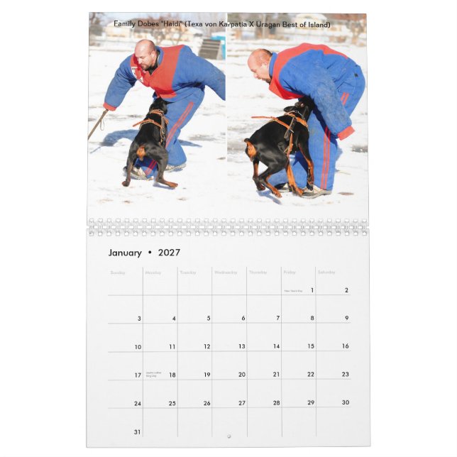 Kalender 2013 för familjDobes skydd (Jan 2027)