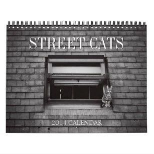 Kalender 2014 för gatakattfotografi