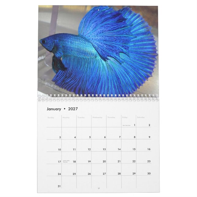 Kalender 2014 för HalfmoonBetta fisk (Jan 2027)