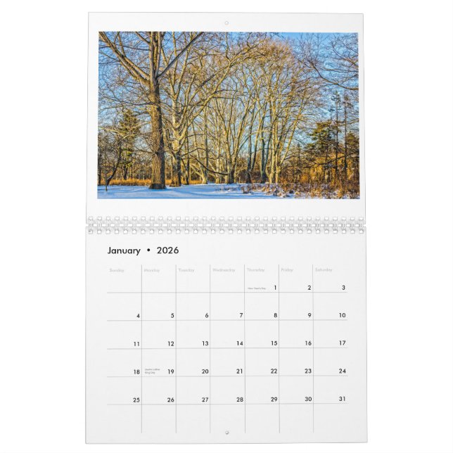 Kalender 2015 av John A. Feist (Jan 2026)