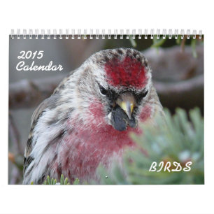 Kalender 2015 av lilla fåglar
