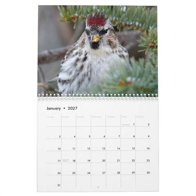 Kalender 2015 av lilla fåglar (Jan 2027)